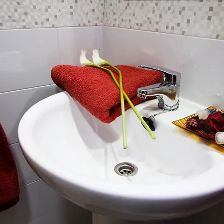 Apartamento Albero